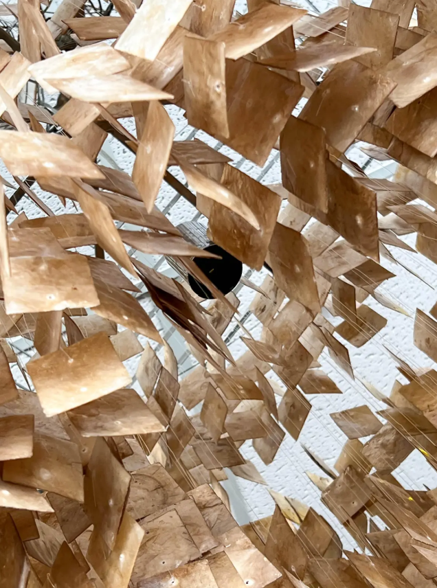 Looking up from the bottom of a unique capiz shell chandelier with layered, translucent champaign/golden tiles. The textured fixture adds elegance and visual interest, creating a modern yet organic atmosphere.  A focal point for any living room, kitchen, dining area, or foyer.  